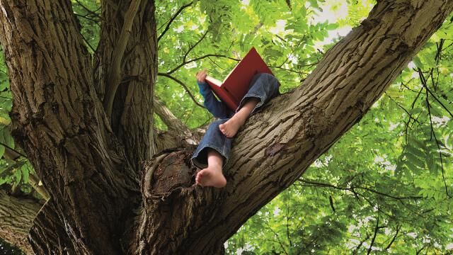 Kinderboekenweek Peuterfestival in het Oerwoud