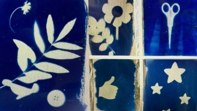 Sjors Creatief: Zonlicht vangen (Cyanotype)