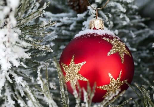 Voorlezen onder de kerstboom (4-6 jaar)